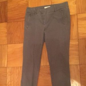 Gray LOFT pants